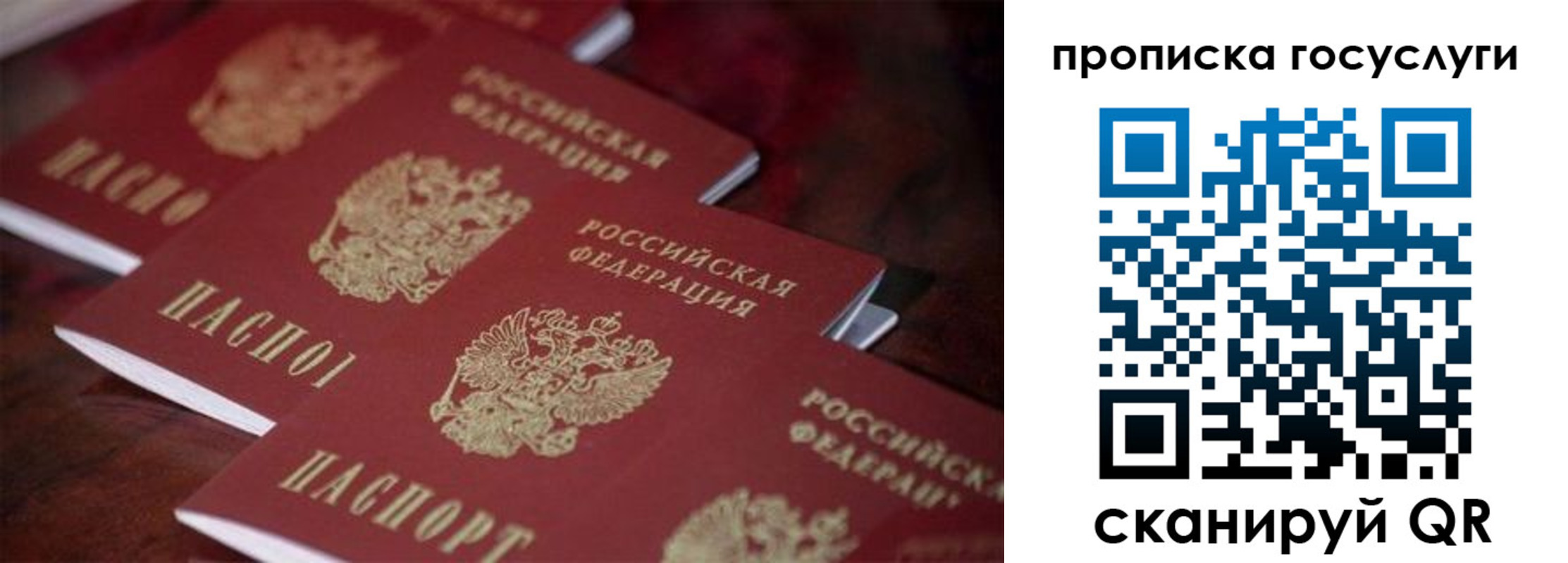 прописка поиск в Ярославле